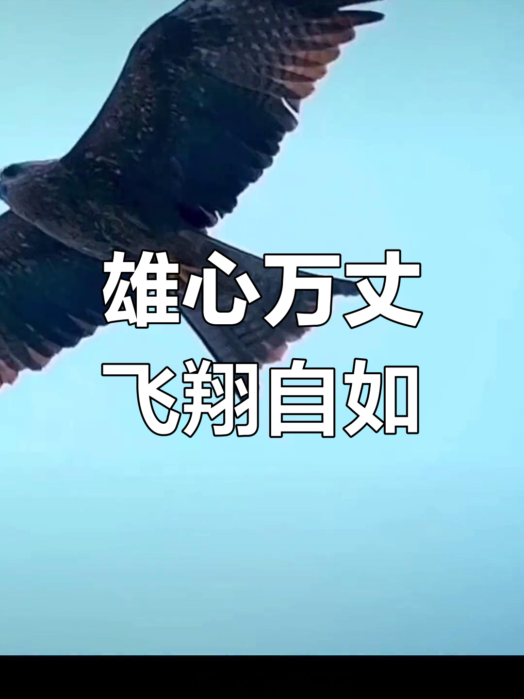 长江雄鹰昂首天空，成功晋级的简单介绍