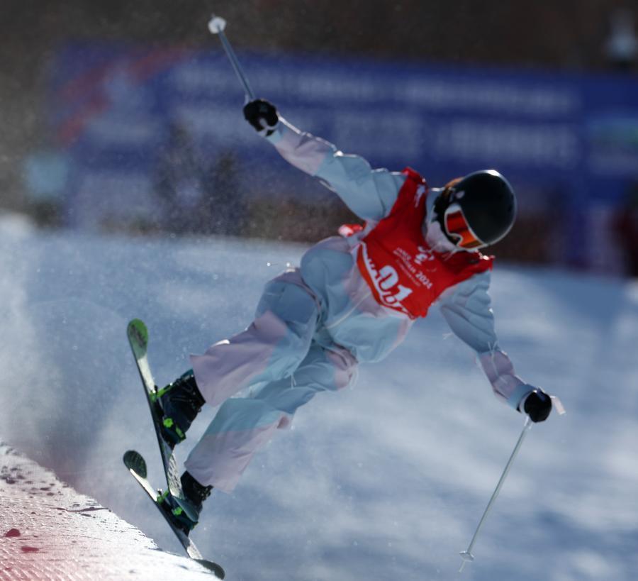 意大利滑雪选手在比赛中表现抢眼
